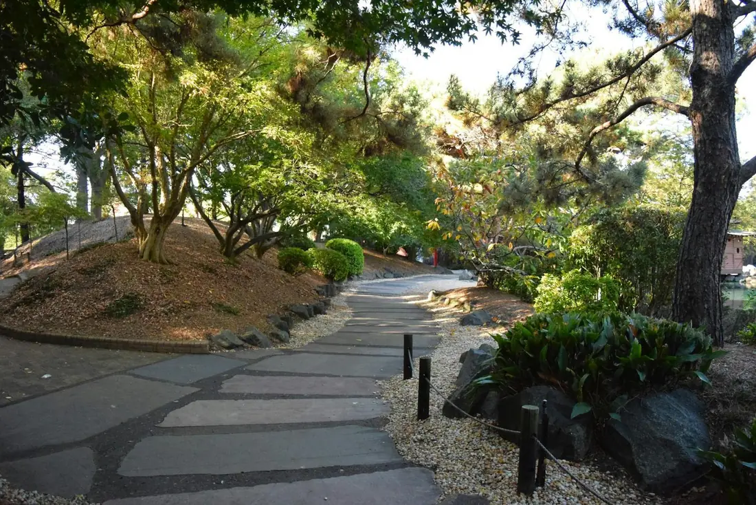 Allée en pierre dans un jardin paysager