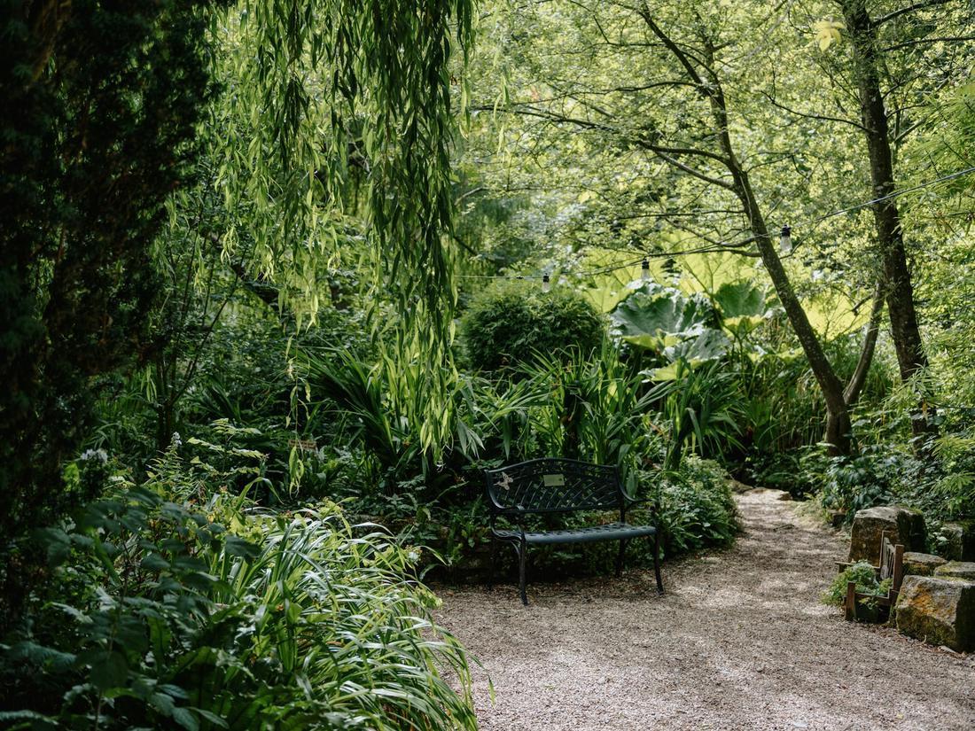 Jardin luxuriant avec banc et allée de gravier